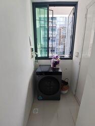 Rhapsody On Mount Elizabeth (D9), Apartment #585715491
